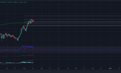 이것은 Bitcoin 황소를위한 또 다른 기회입니까?