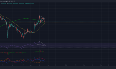 Dogecoin: 거래자들이 가격 반전에 진정으로 의존해야 할까요?