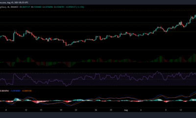 EOS, BAT 및 VeChain 가격 분석: 8월 19일