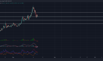 Ethereum Classic 거래자가 포지션에 진입하기 전에 인내심을 가져야 하는 이유