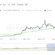 Cardano 투자자들은 이것을 기대합니다
