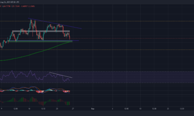 Chainlink의 단기 재산은 이 방어 구역에 따라 달라질 수 있습니다.