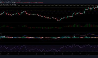 Chainlink, WAVES 및 Verge 가격 분석: 8월 6일