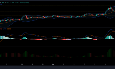 Matic, Chainlink 및 XMR 가격 분석: 8월 15일