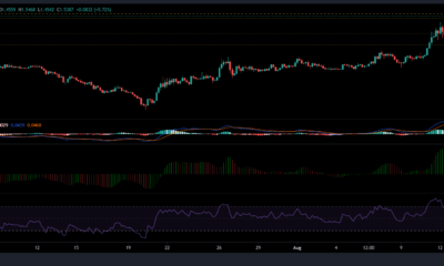 MATIC, XRP 및 Dogecoin 가격 분석: 8월 16일