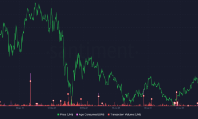 새로운 'Uniswap of Cardano'가 아직 위협이 되지 않는 이유