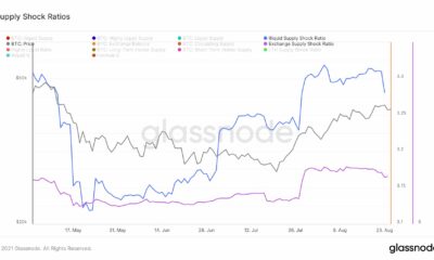 Bitcoin의 '백만장자 계층'과 그것이 어떻게 하루를 구할 수 있는지