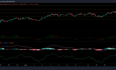 Monero, BAT 및 VeChain 가격 분석: 8월 26일