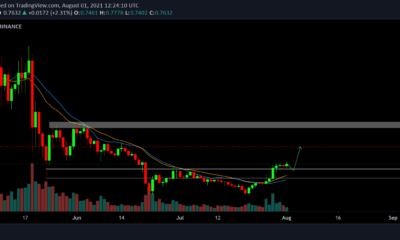 XRP 거래자가 펌프를 기대하거나 알트가 길을 잃었습니까?