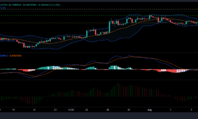 XRP, Cardano 및 Dogecoin 가격 분석: 8월 8일