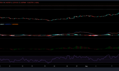XRP, Ethereum 및 Polkadot 가격 분석: 8월 15일