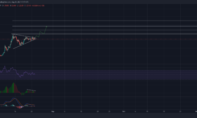 XRP는 또 다른 급증을 목격할 수 있지만 공매도는 스포일러를 할 수 있습니다