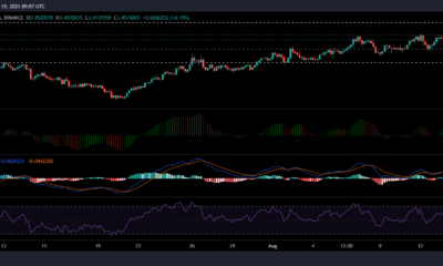 Tezos, Monero 및 NEM 가격 분석: 8월 19일