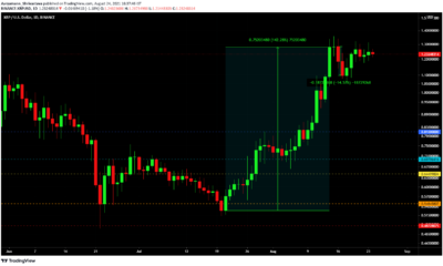 SEC-Ripple 소송의 사실 발견 마감일이 XRP의 가격 조치의 핵심이 될 수 있습니까?