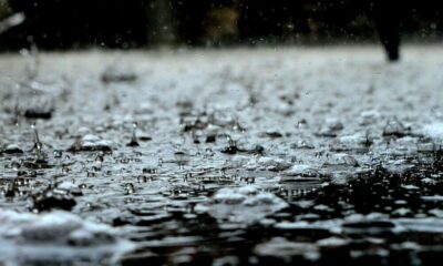 XRP 소송: Ripple은 SEC가 '법적 표준과 싸우고 있다'고 주장합니다.