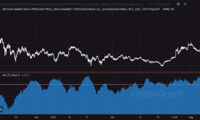 Bitcoin: 장기 보유자 또는 거래자라면 해야 할 일과 하지 말아야 할 일