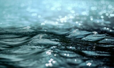 Ripple은 SEC 직원의 XRP 보유에 대한 공개를 요구합니다.