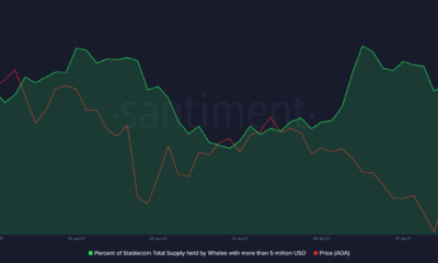 Cardano의 HODLers의 이 섹션이 어떻게 랠리에 연료를 공급했을 수 있습니까?