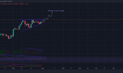 Cardano: 이러한 경고 신호를 간과하기 어려운 이유