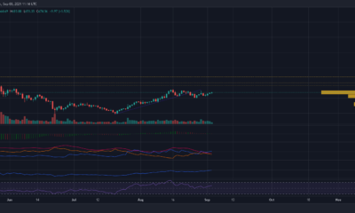 Bitcoin Cash가 $ 880까지 상승하기 위해해야 ​​할 일의 A to Z