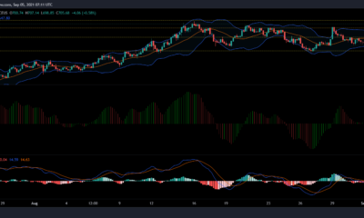 Bitcoin Cash, Dogecoin 및 Filecoin 가격 분석: 9월 5일