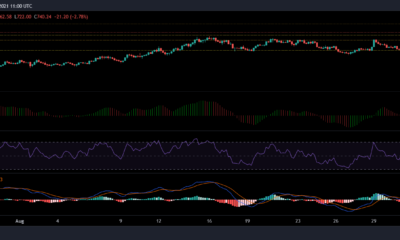 Bitcoin Cash, BAT 및 BitTorrent 가격 분석: 9월 7일