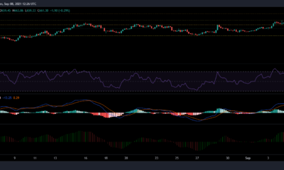 Bitcoin Cash, NEO 및 IOTA 가격 분석: 9월 8일