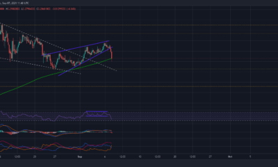Dogecoin: 상승하는 쐐기형 고장에는 다음과 같은 의미가 있습니다.
