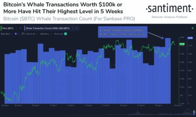 이 Bitcoin 메트릭은 로컬 최고가 곧 올지 여부를 나타낼 수 있습니다.