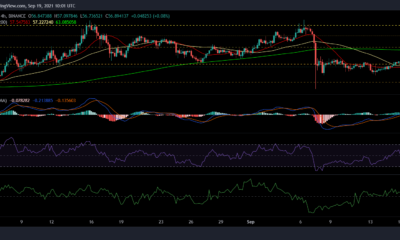 Ethereum Classic, Binance Coin 및 ATOM 가격 분석: 9월 19일