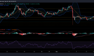 Ethereum Classic, COSMOS 및 Dogecoin 가격 분석: 9월 20일
