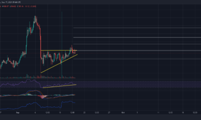 Litecoin: 이 강세 패턴이 암호화폐에 의미하는 것
