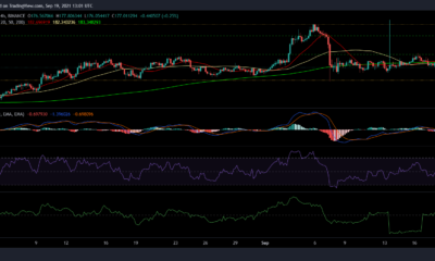 Litecoin, Solana 및 Avalanche 가격 분석: 9월 19일
