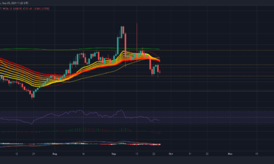 Litecoin: 이러한 신호는 집회가 아닌 약세 추세에 더 많은 신뢰를 줍니다.
