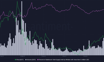 Polkadot의 경우 모든 징후는 다음을 제외하고는 사상 최고를 가리킵니다.