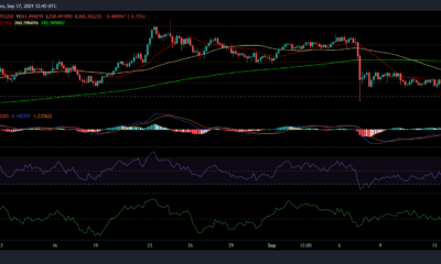 Monero, Ethereum Classic 및 Dogecoin 가격 분석: 9월 17일