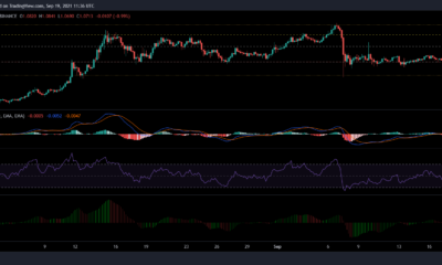 XRP, Polkadot 및 Terra 가격 분석: 9월 19일