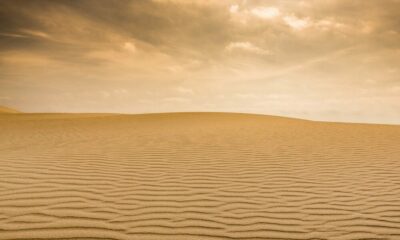 거부됨: SEC의 '디지털 자산을 관리하는 거래 정책'에 대한 문서에 대한 Ripple의 요청