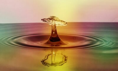 XRP 소송: Ripple은 SEC를 '잘못된 동작 관행'으로 비난합니다.