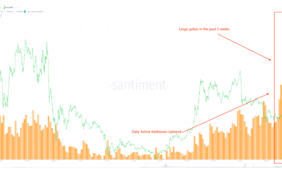 XRP가 실제로 얼마나 낙관적인지 평가
