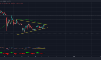 Cardano: 트레이더가 이 대칭 삼각형을 어떻게 활용할 수 있는지 살펴봅니다.