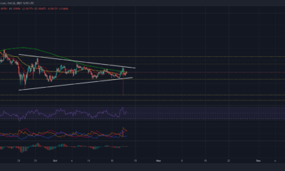 Cardano 트레이더가 안전한 면을 위해 해야 할 일