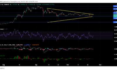 Cardano, Polkadot, Tron 가격 분석: 10월 25일