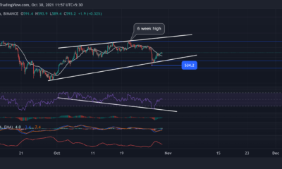 Bitcoin Cash, MATIC, Tron 가격 분석: 10월 30일