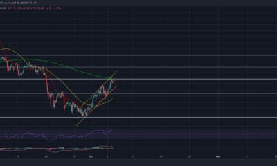 거래자는 Bitcoin Cash의 단기 가격 조치에서 이것을 예상해야 합니다.