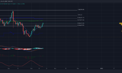 이것은 앞으로 Bitcoin Cash의 안정성을 가져올 것입니다.