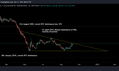 Bitcoin의 지배가 altseason을 유발하면 이 코인은 5x-10x 상승할 수 있습니다.