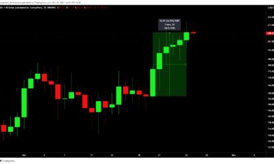 USDC의 요구가 Solana를 새로운 ATH로 유지하는 데 핵심이 될 수 있습니까?