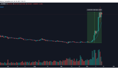 이 BSC 기반 토큰은 이미 1000% 상승했지만 더 많은 여유가 있습니다.