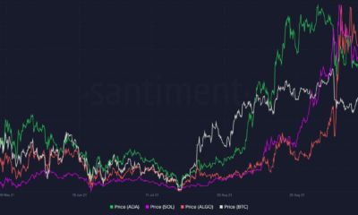 Cardano, Solana, Algorand의 궤적은 이러한 시장 동향에 의해 좌우될 수 있습니다.